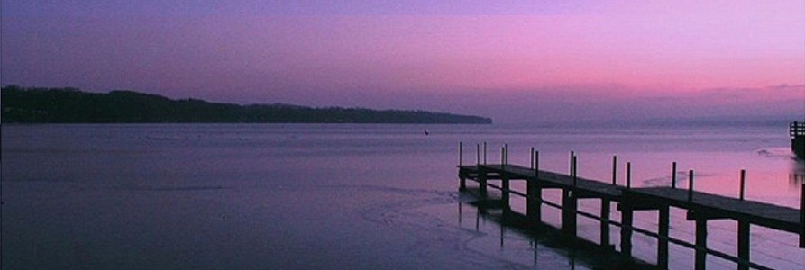 Jetty Purple Jetty Purple