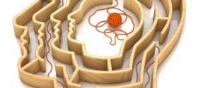 Brain Wool